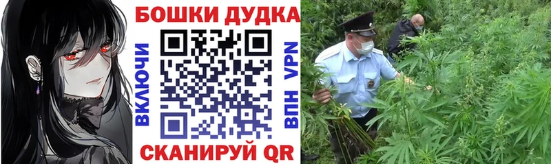 Купить где  Светлый  Бошки Шишки планчик